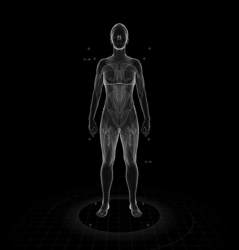 3D Body Mass Index Visualizer